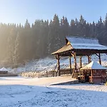 Nikoletta 3* Буковель