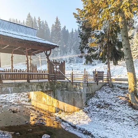 Nikoletta 3* Bukovel